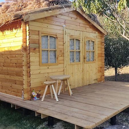 Edelweiss Guesthouse, Glamping And Camping Suhaia Екстериор снимка